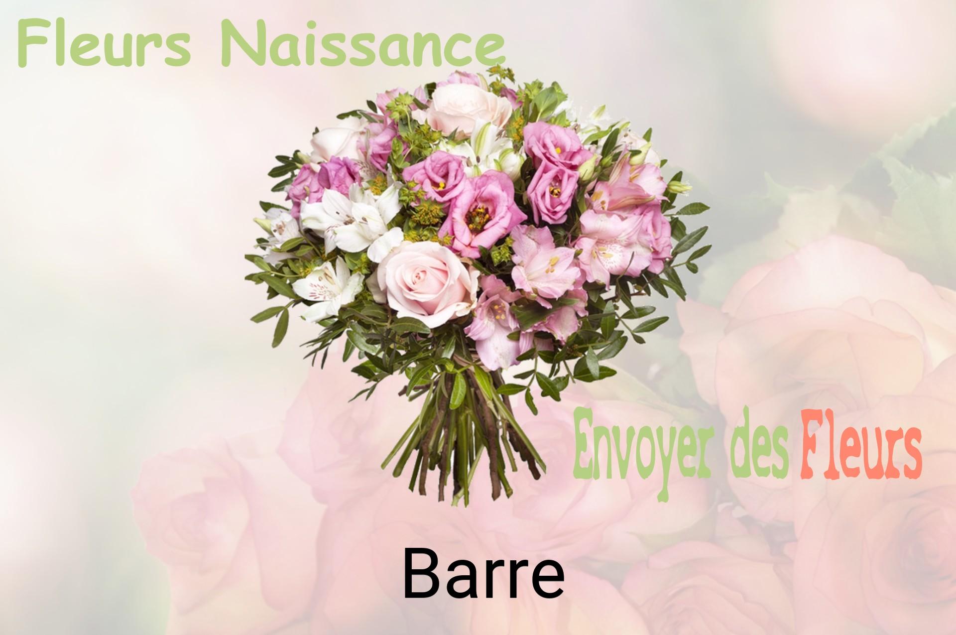 Bouquet de fleurs de naissance livré à Barre